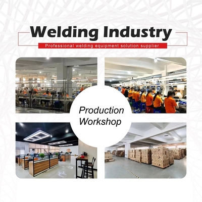 380V/400A, DC Inverter, IGBT Module TIG Machine Welding Tool/Equipment Welder with MMA Function